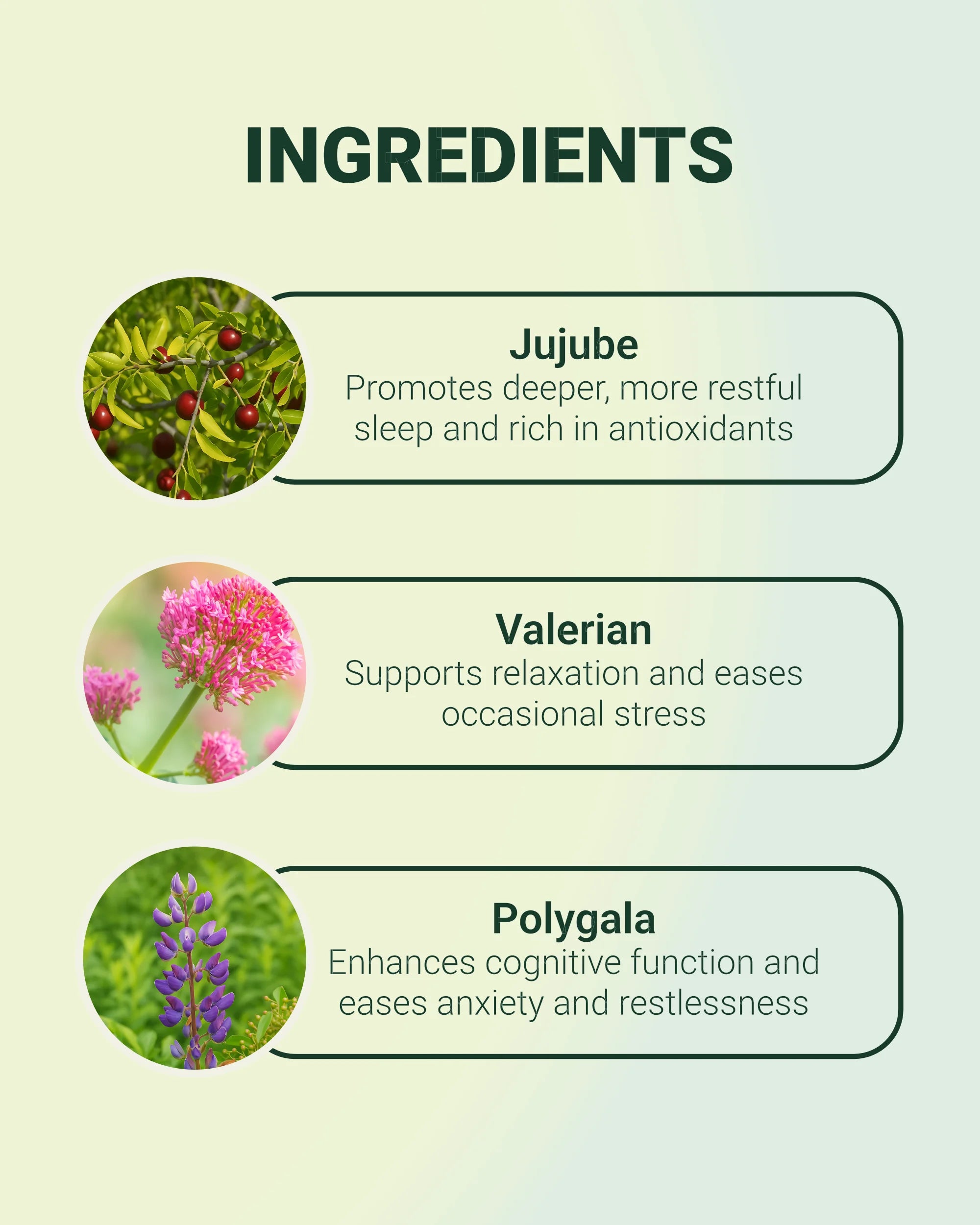 Serenity - Daily Sleep & Relaxation Supplement