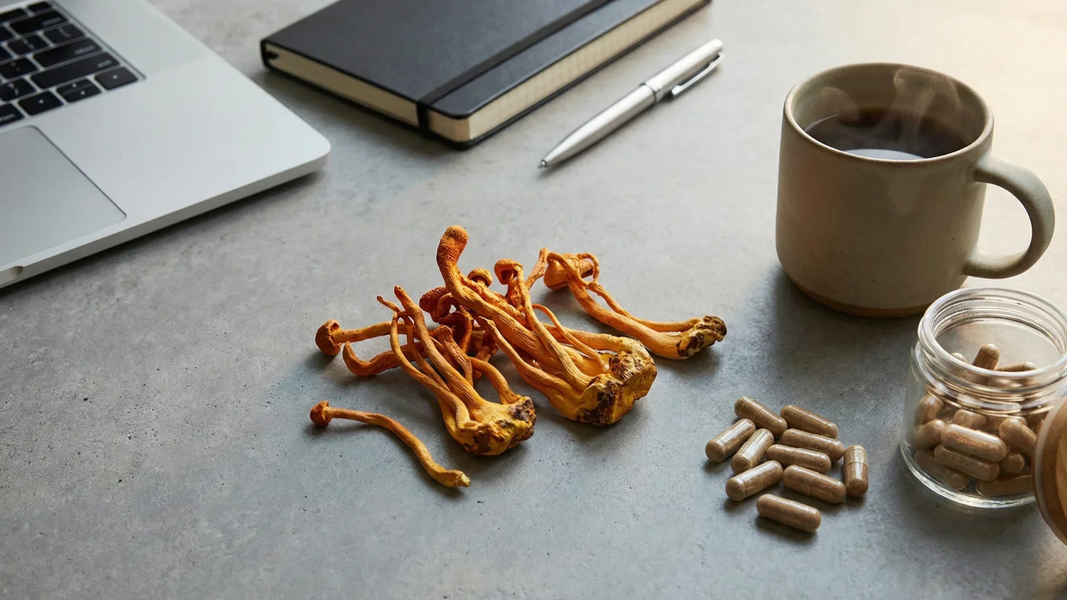 The Functional Fungus: Why Cordyceps is the Energy Upgrade Busy Professionals Need