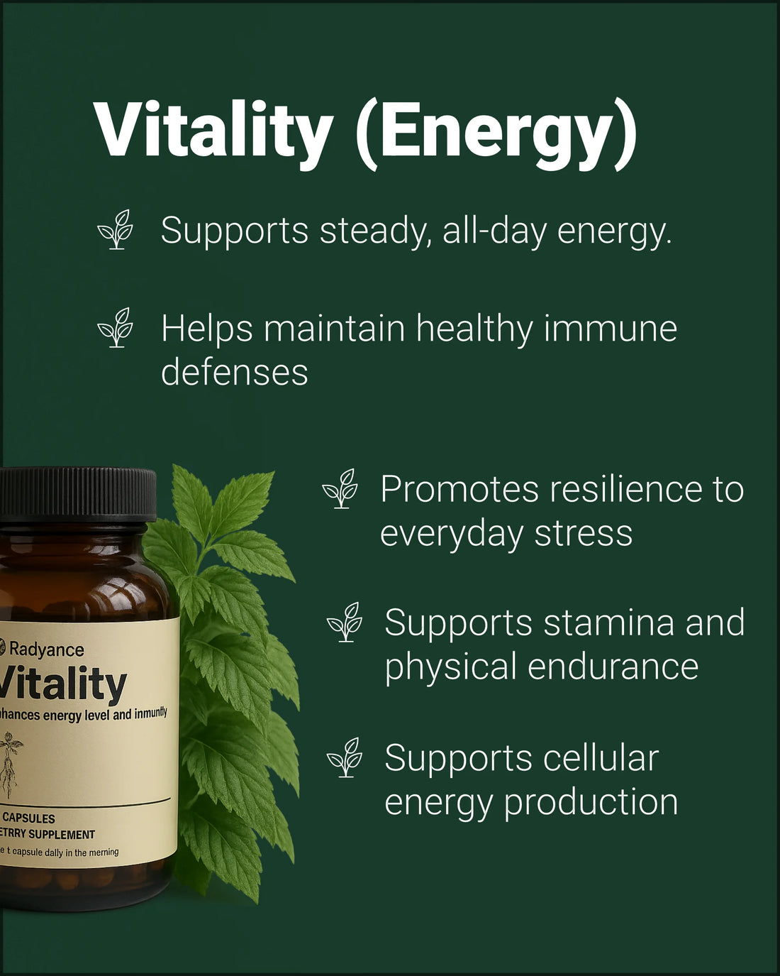 The Ultimate Radyance Bundle