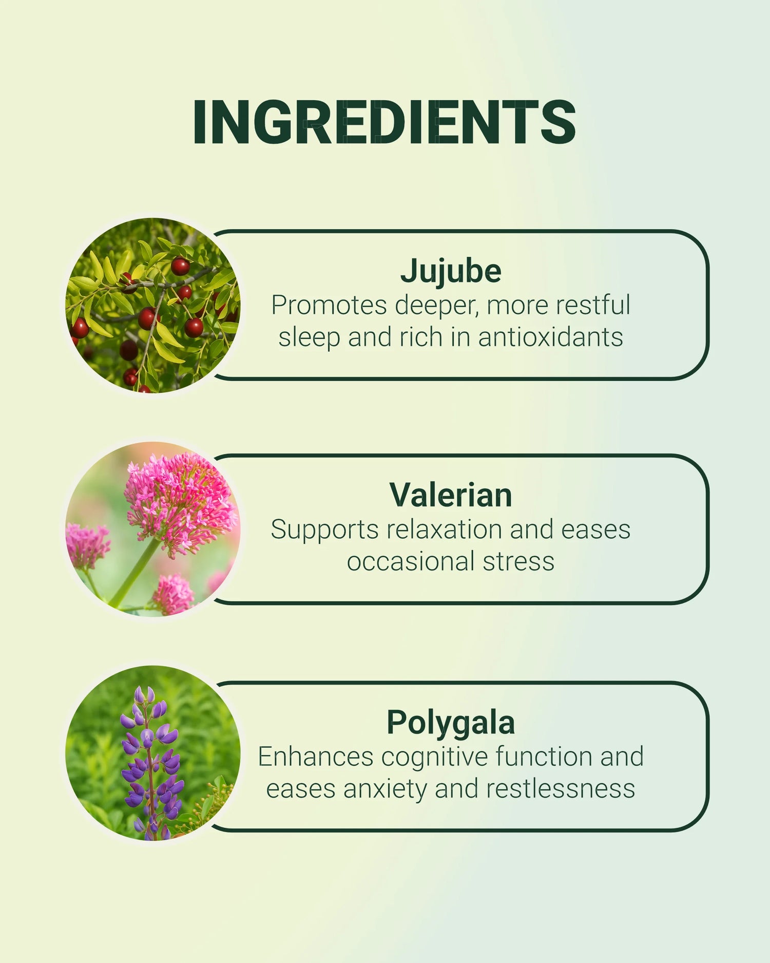 Serenity - Daily Sleep &amp; Relaxation Supplement