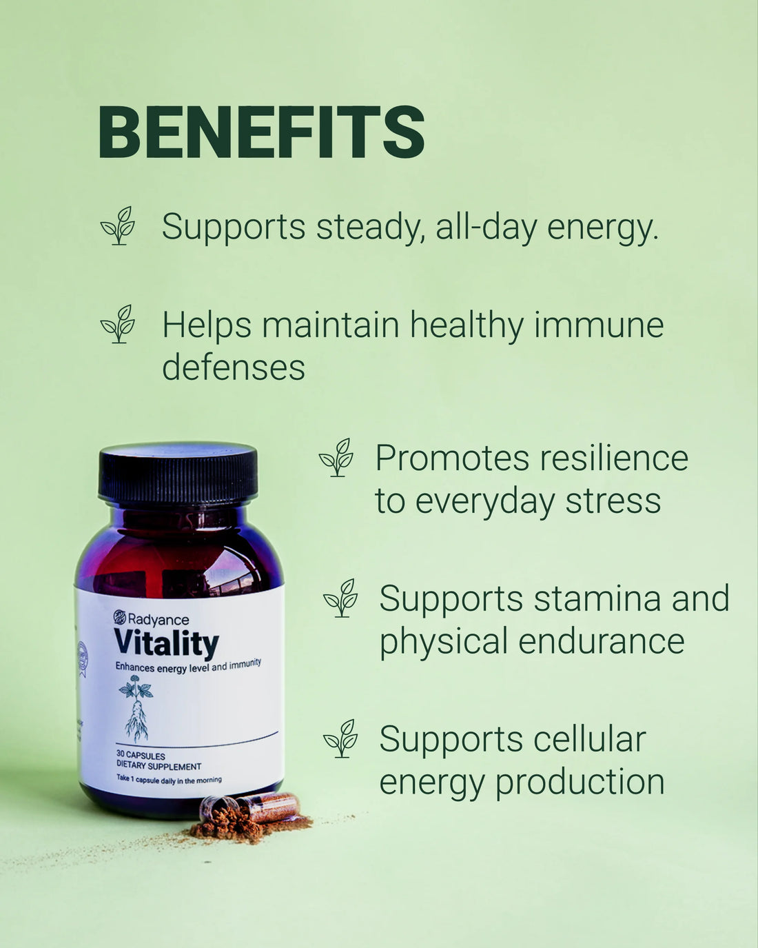 Vitality - Daily Energy &amp; Immune Support Supplement