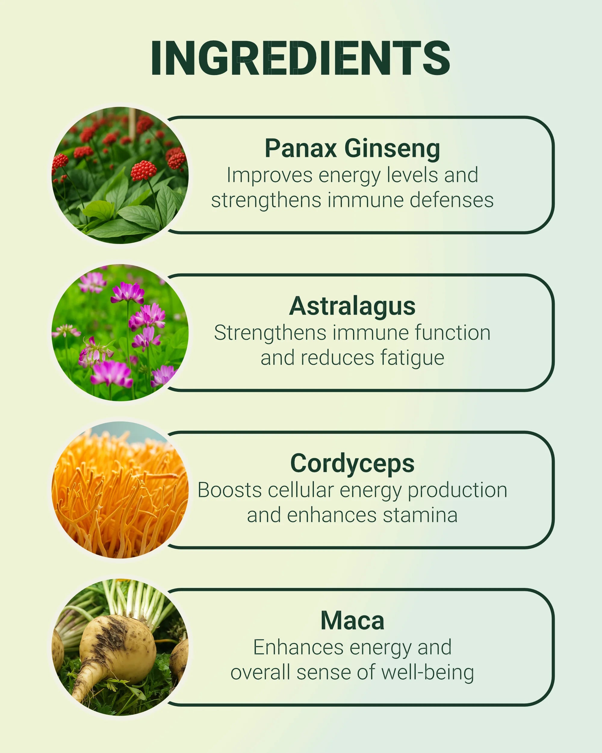 Vitality - Daily Energy &amp; Immune Support Supplement